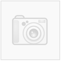 Start Fiskesalg Logo Gul N Transfermerke 67 mm x 22 mm